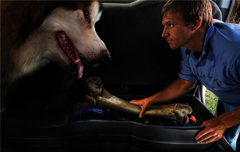Husky Liners 2014 Chevrolet/GMC Silverado/Sierra 1500 Ext Cab Pickup Husky Underseat GearBox Storage